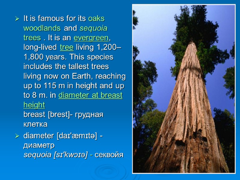 It is famous for its oaks woodlands and sequoia trees . It is an